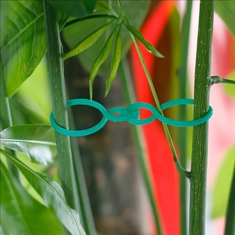125Pcs Garden Plant Support Ki - Tie Clip Set ulasan dan harga
