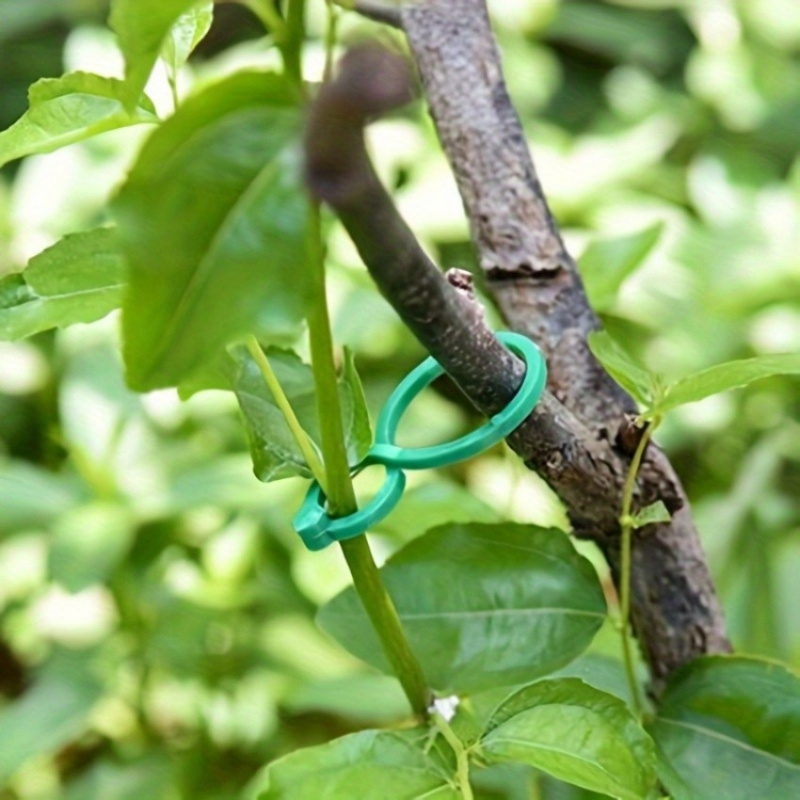 125Pcs Garden Plant Support Ki - Tie Clip Set ulasan dan harga